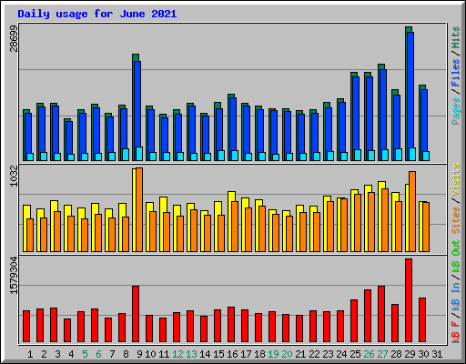 Daily usage for June 2021