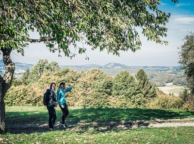 Genusswandern im Naturpark Raab Region Jennersdorf Genusswandern