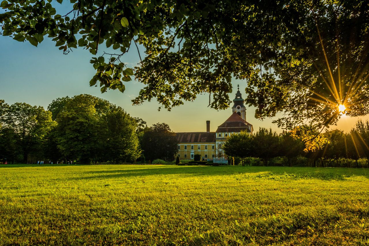 Zisterzienser Zisterzienser