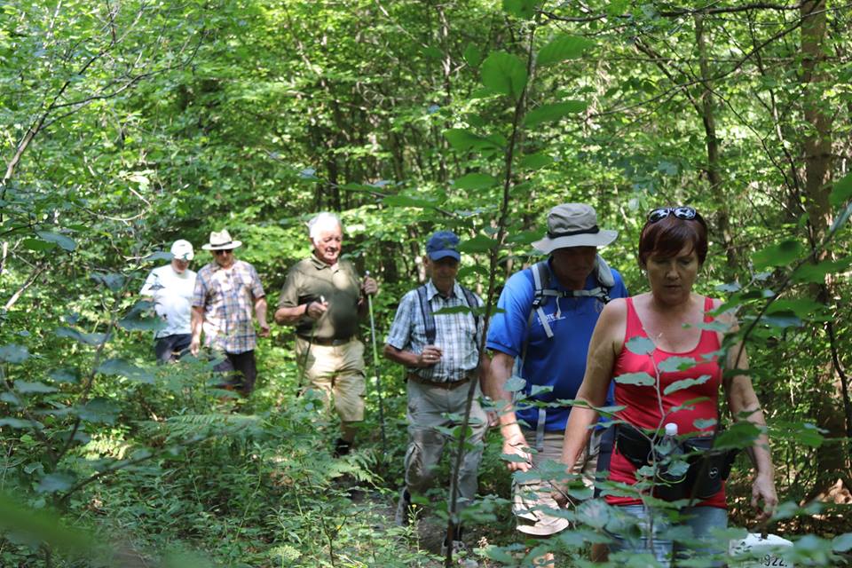 Grenzenlos nach Slowenien
