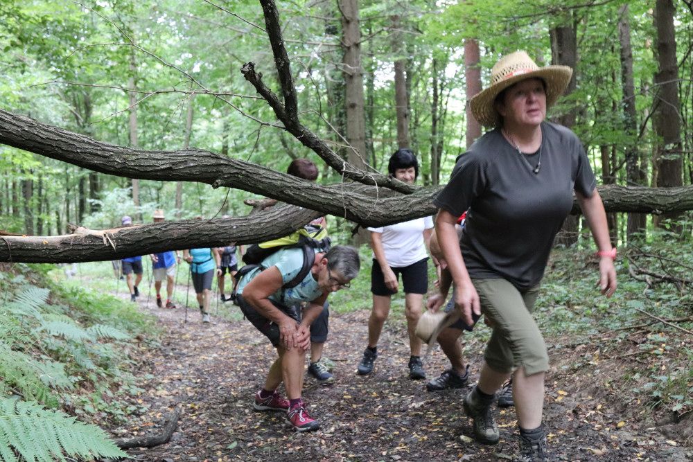 K&K Wanderung K&K Wanderung