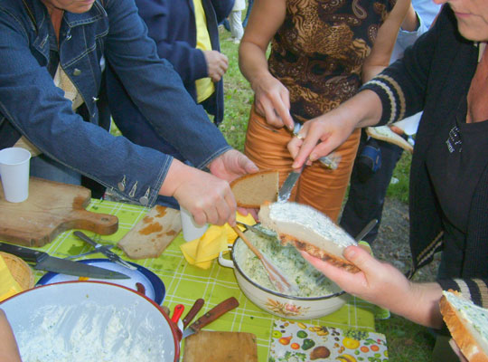 Wilde Kräuter aus der Region Jennersdorf genießen  Wilde Kräuter