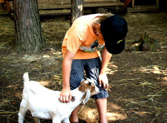 Tiere im Naturwinkle Saufuss Naturwinkel Sauerfuß